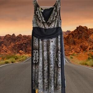 London Times 14P sleeveless lined w/chiffon overlay dress. Party, wedding, date
